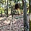 Woodland Gardens Self-Catering & Pet-Friendly Lodge