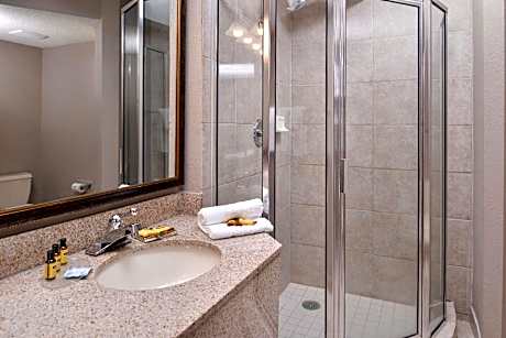 Jacuzzi Suite-1 King Bed
