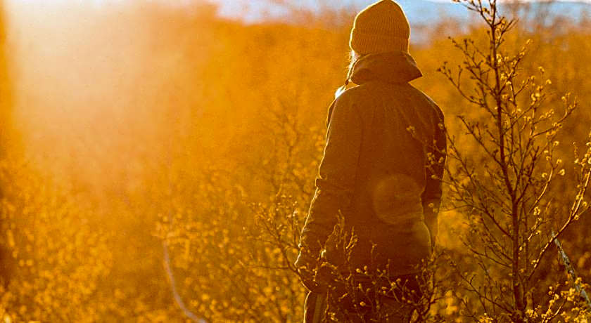 Abisko Mountain Lodge