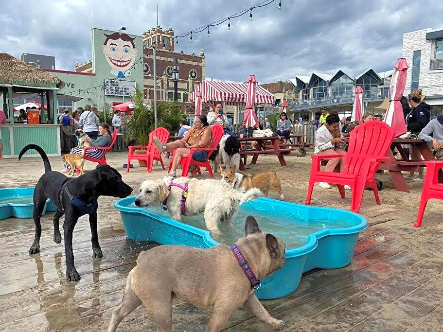 The Albert - Walk to Beach & Asbury