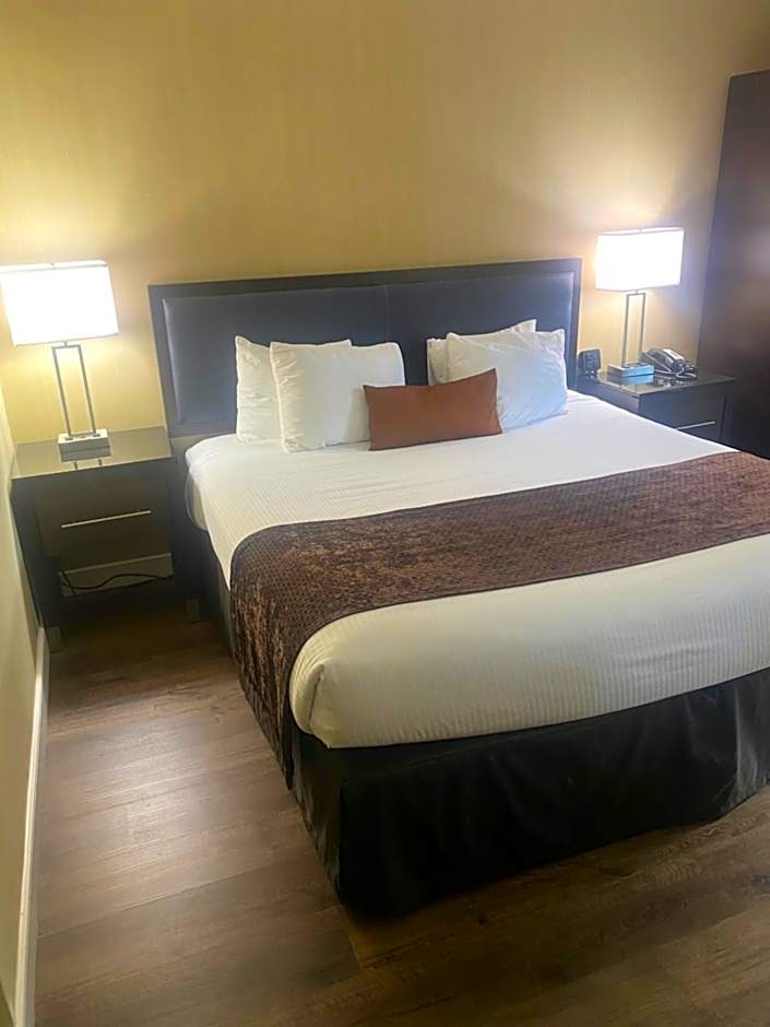 Wingate by Wyndham Springfield