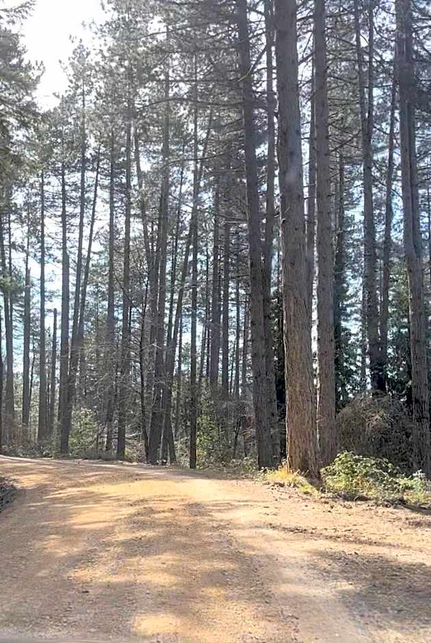 Albergo Villa San Michele