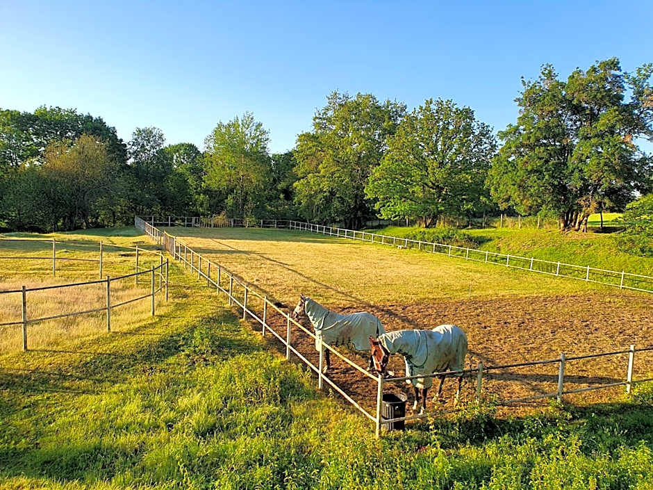 Ferme équestre & Chambres d'hôtes Gateau Stables proche Guédelon