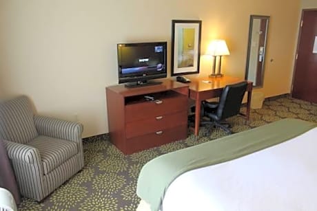 Holiday Inn Express Hotel & Suites Starkville