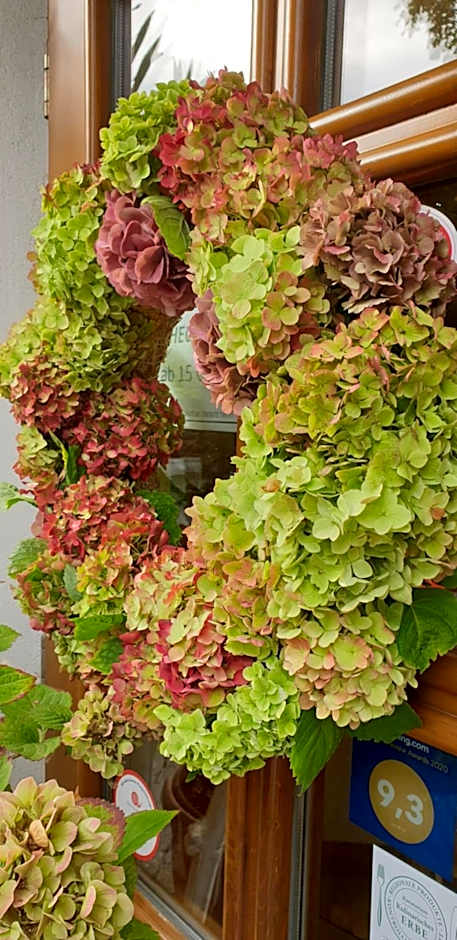 Donauwirt - Hotel garni