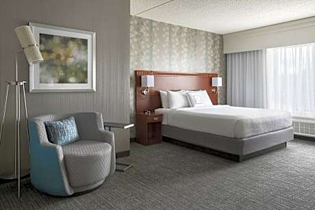 Executive Suite, 1 King, Sofa bed