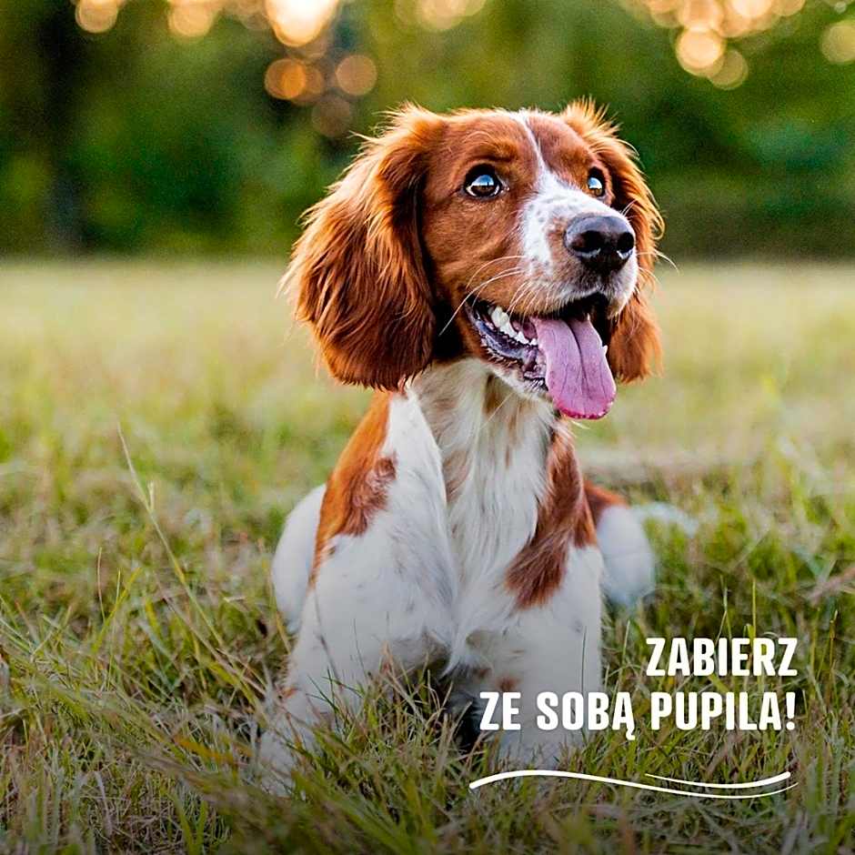 Apartamenty wśród drzew River Park SAUNA