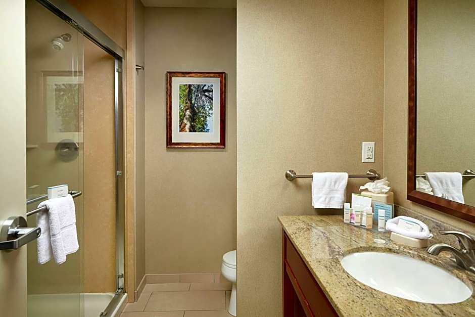 Hampton Inn By Hilton And Suites Salem