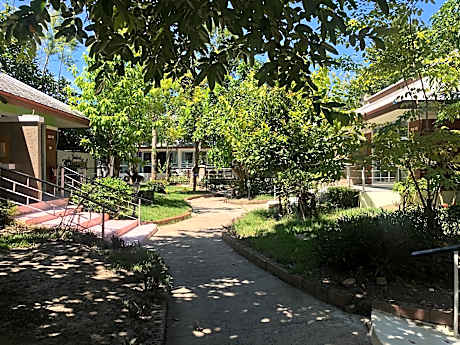 Superior Twin Garden View