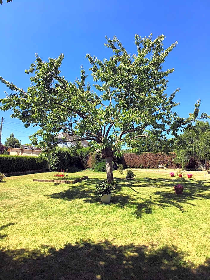 La Romance et la Romanesque