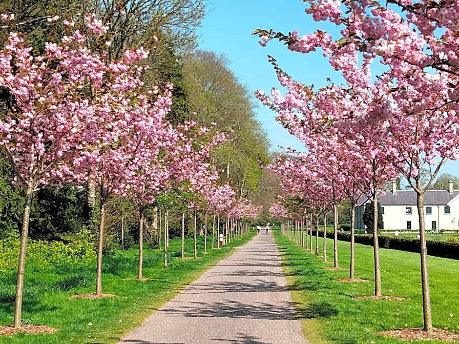 Larkfield House B&B, Ballycasheen Kerry V93 WD51