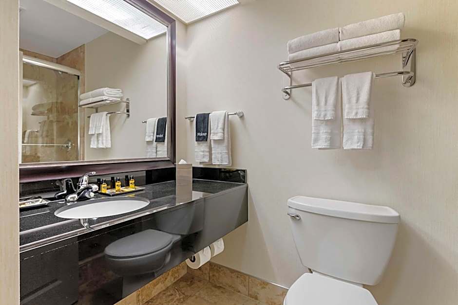 Best Western Plus Inntowner Madison
