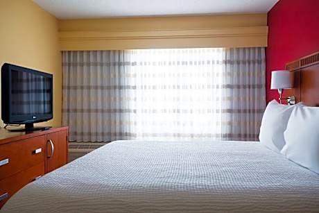 One-Bedroom King Suite with Balcony and Sofa Bed