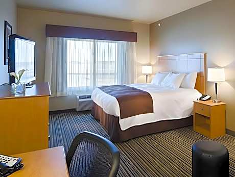 1 Bedroom King Suite