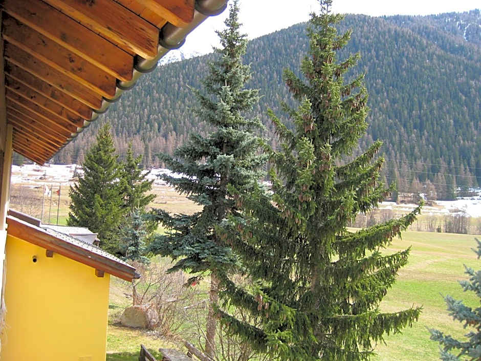 Hotel Pizzeria Selva