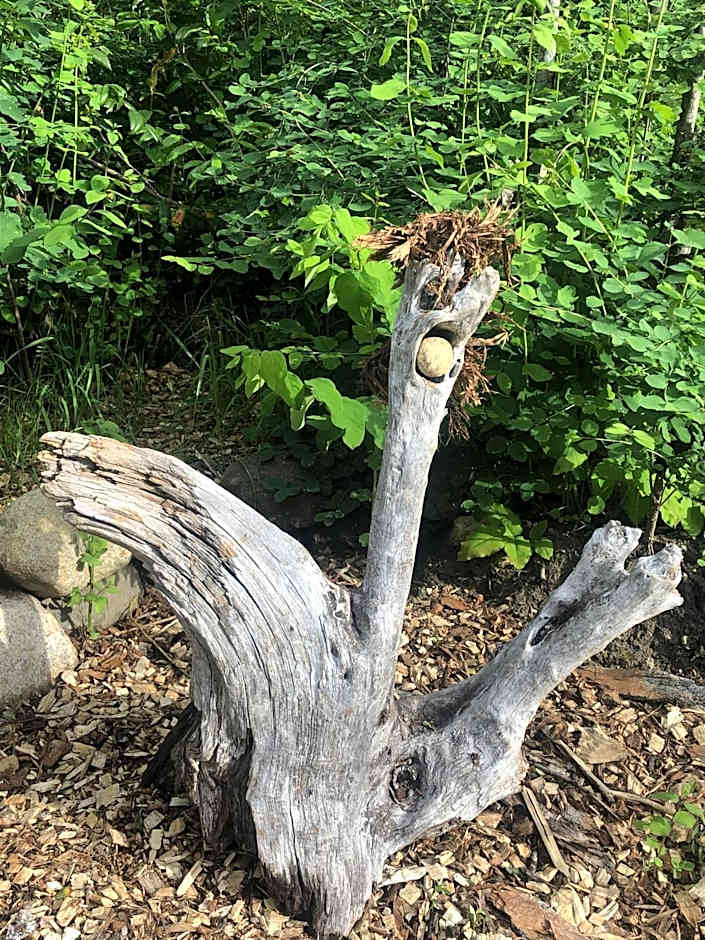 Idyllic Cabin Retreat Only 5 Minutes Away From Nelson