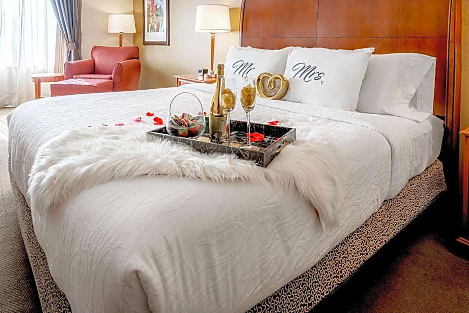 Hilton Garden Inn Houston/The Woodlands