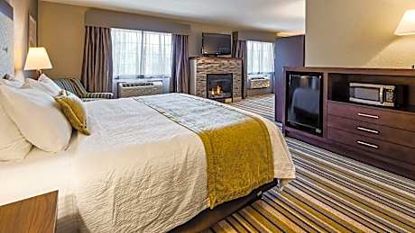 Suite-1 King Bed, Non-Smoking, High Speed Internet Access, Sofabed, Fireplace, Microwave And Refrige