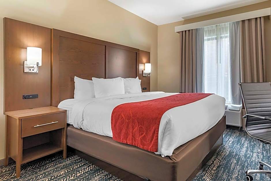 Comfort Inn & Suites Downtown near University