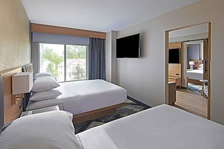 Accessible Queen Suite with Sofa Bed