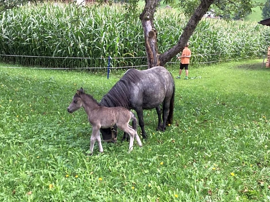 Badererhof Christine Wechselberger