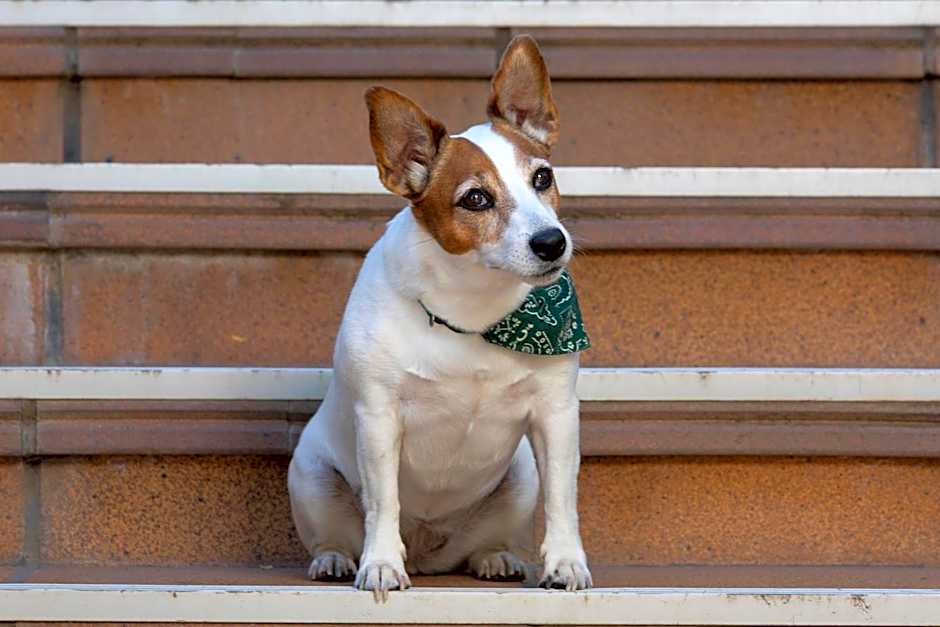 Hotel Rural El Refugio