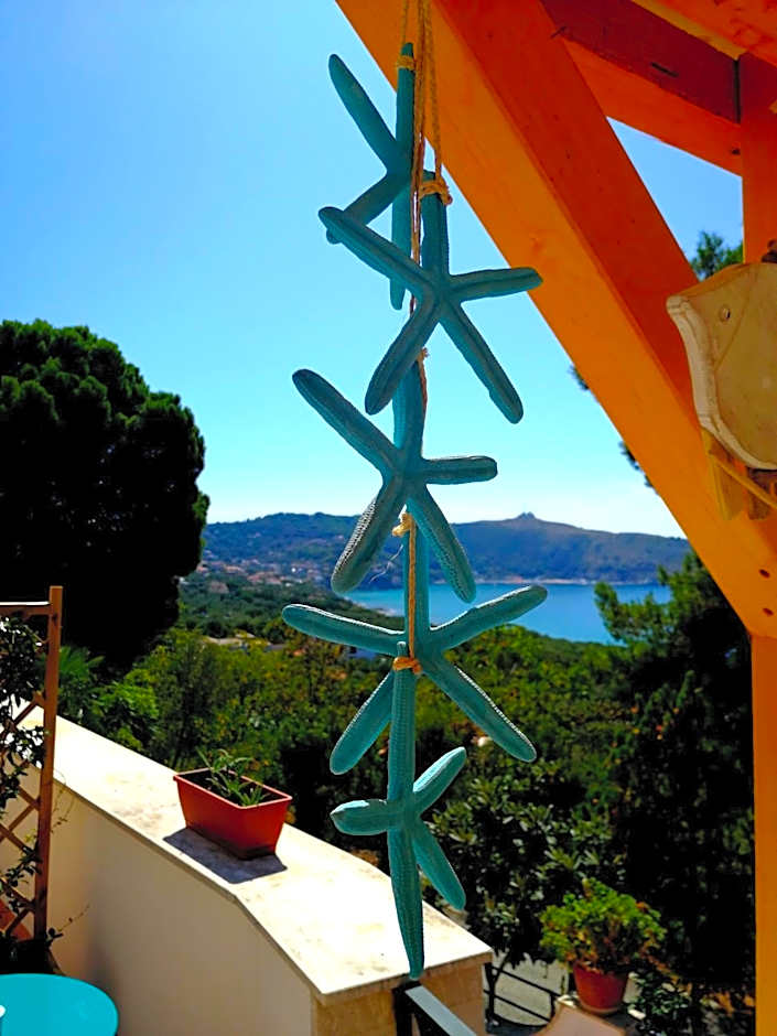 Il Sogno di Vincenzo e Maria