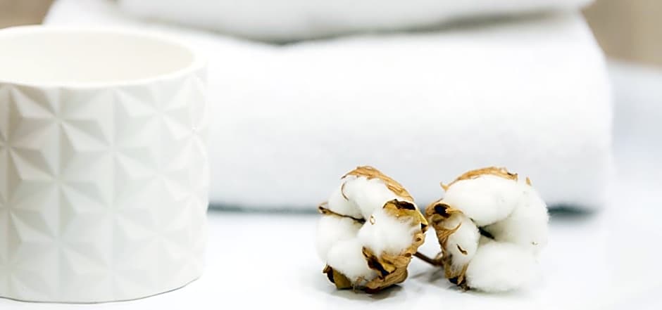 Hotel Condes De Haro