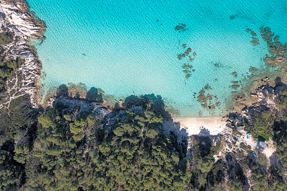 VSP RENT ROOMS FUeGO