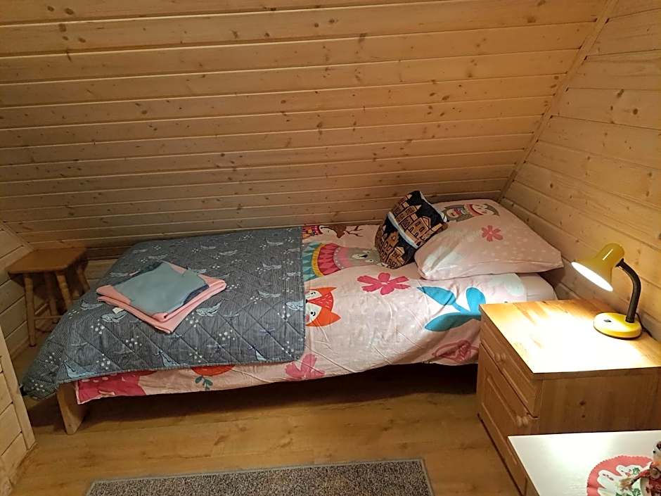 Domki Borowiackie nad brzegiem jeziora