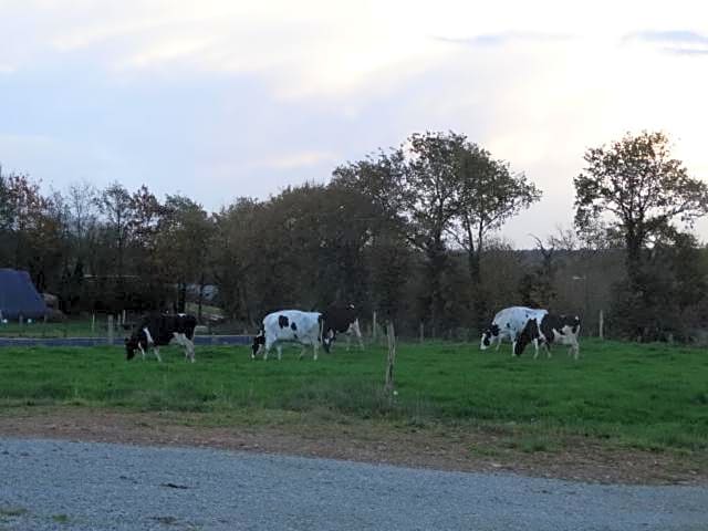Chambres d'hôtes " Moulin du Couedic "