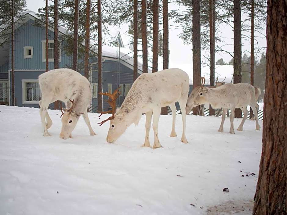 Hotel K5 Levi and K5 Villas