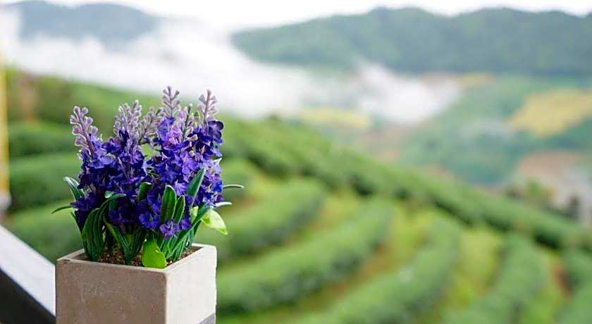 101 Tea Green View