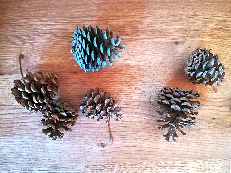 Huber - Das Tiroler B&B