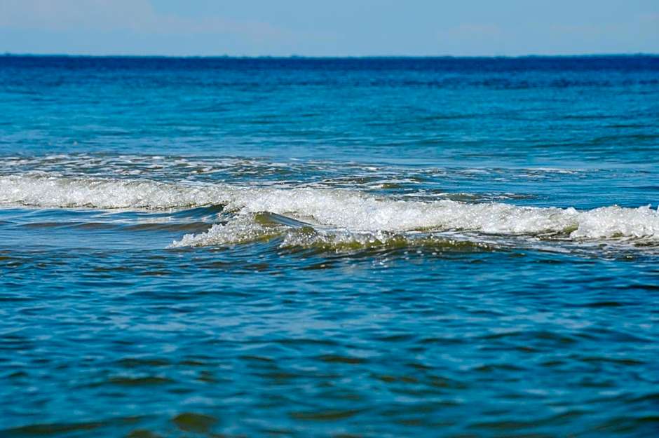 Hôtel du Midi Plage