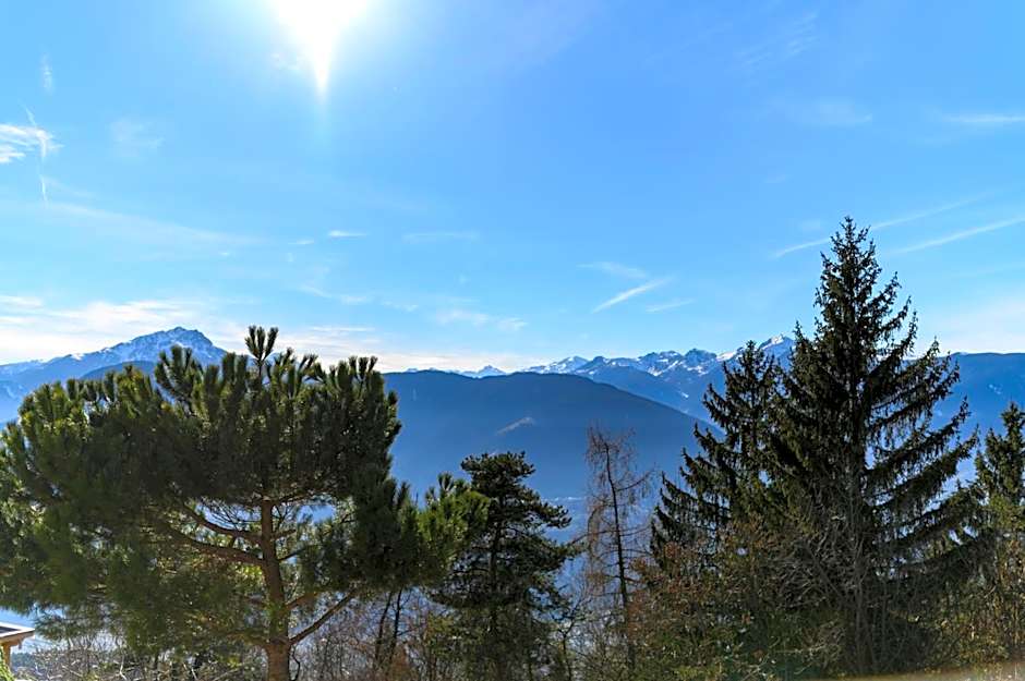 Hotel Restaurant Alber