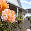 Rose Court Motel