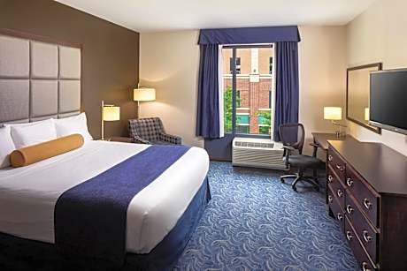 Standard King Room