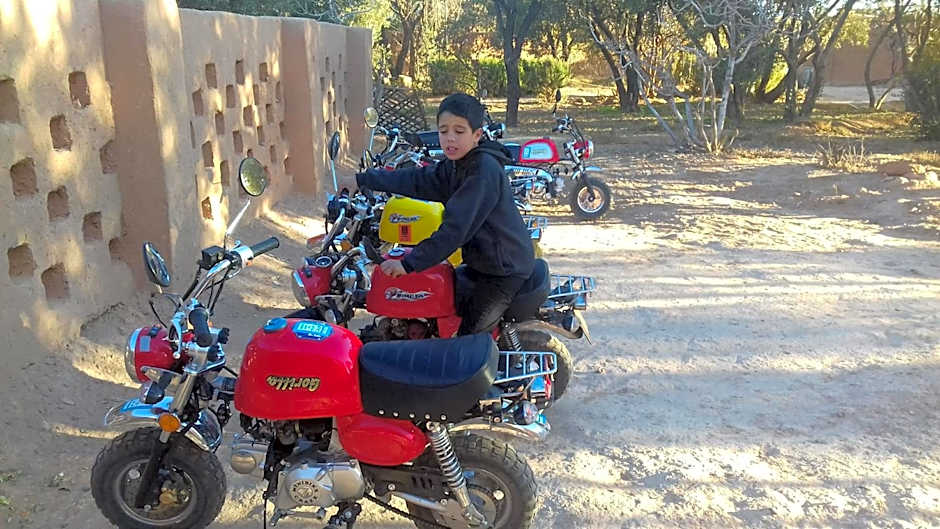 ECOLODGE MISS ROSE CHEZ LA FAMILLE