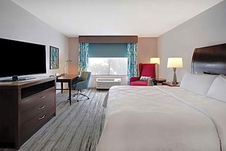 1 King Bed
