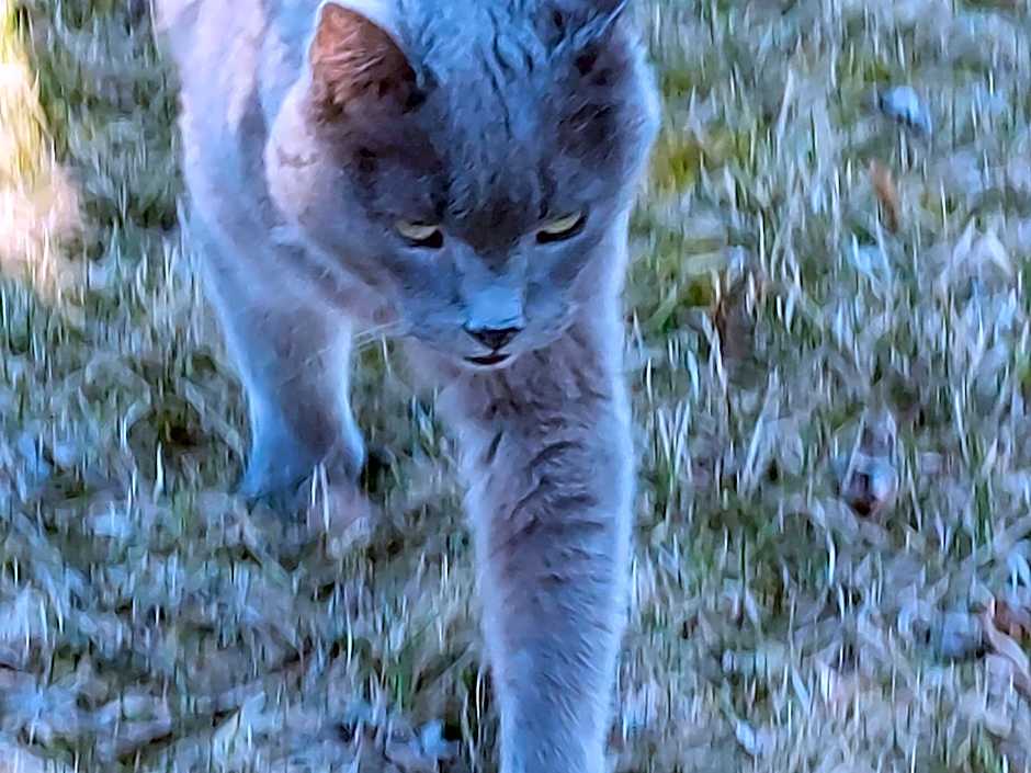 Ohessaare Windmill -Experience accommodation