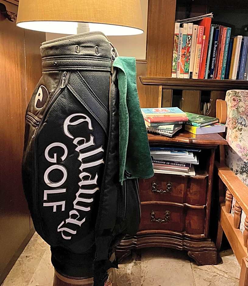 Hotel Rech-Hof Sayonara