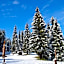 Hôtel Chalet Le Caribou