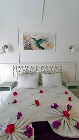 Duplex Studio