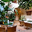 Riad l'Oiseau du Paradis