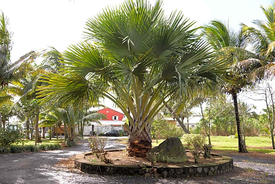Domaine des Oiseaux Réunion
