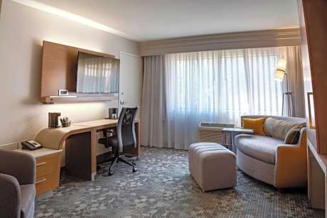 Suite, 1 King Bed with Sofa bed (1 King Bed and 1 Double Sofa Bed)