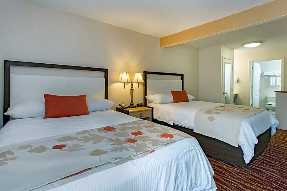 Hawthorn Suites by Wyndham Allentown-Fogelsville