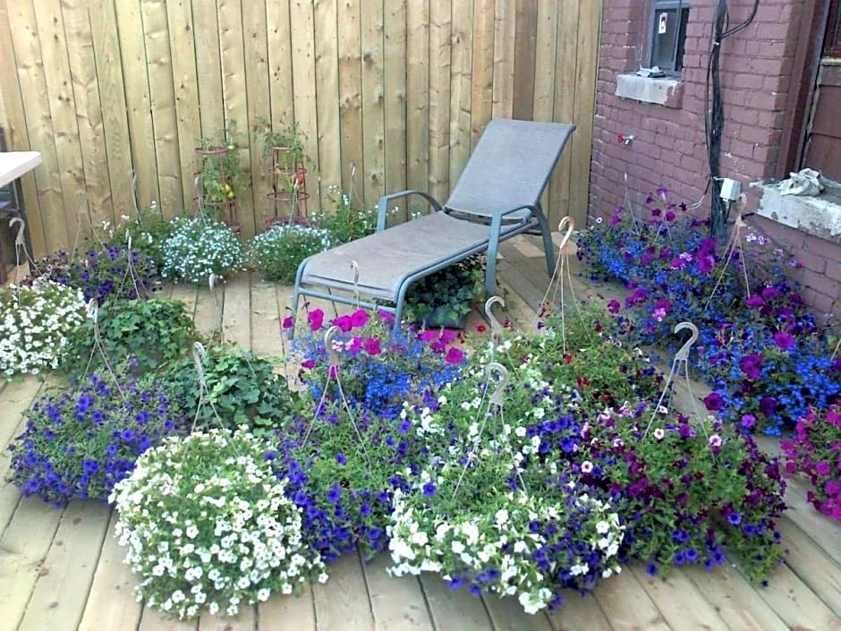 The Only Backpacker's Inn