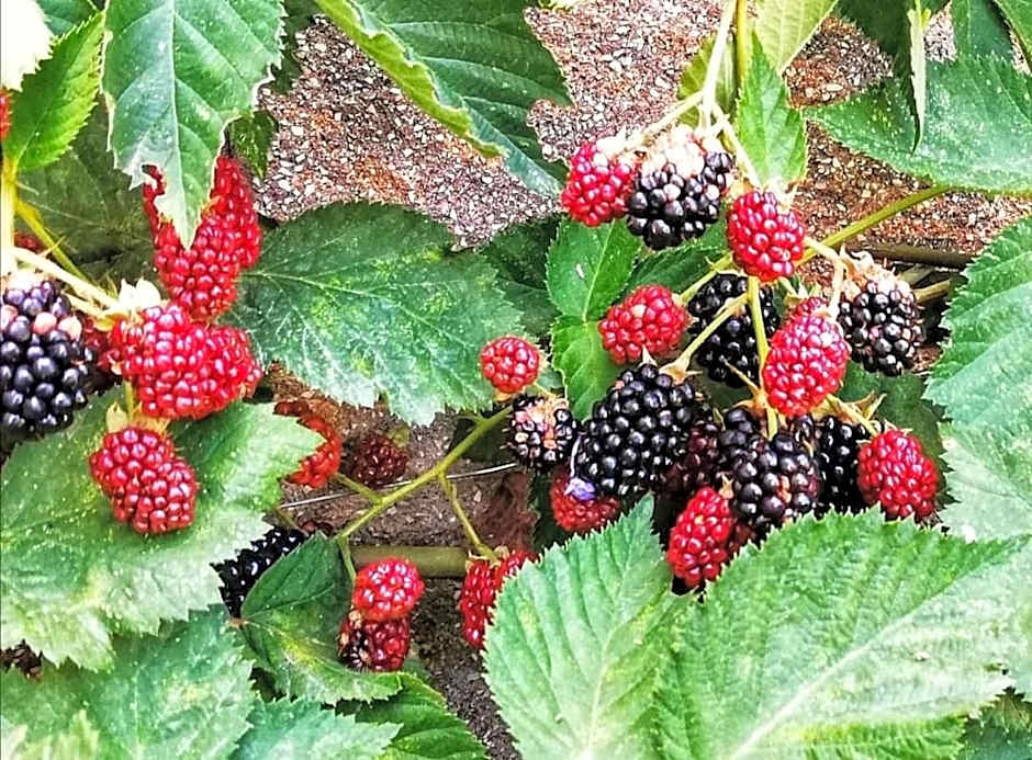 La mia Casa nelle Marche